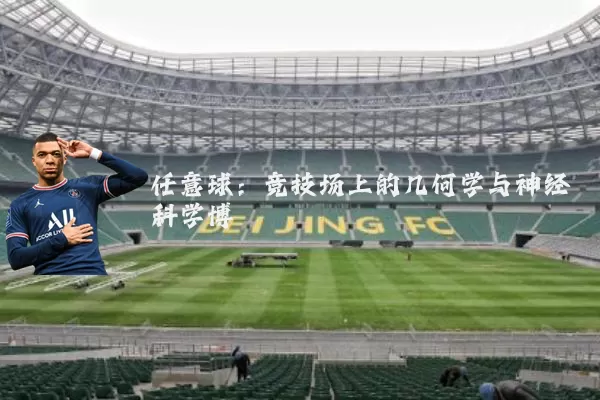 任意球：竞技场上的几何学与神经科学博弈